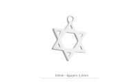 Colgante estrella de David...