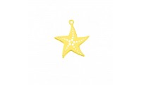 Colgante estrella de mar de...