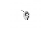 Pendiente concha cowrie 10...