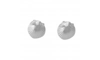 Pendientes conchas de 8 mm.