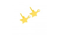 Pendiente estrella pequeña...
