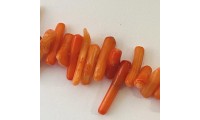 Chip coral 12mm - int.1 mm....