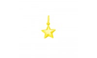 Colgante estrella de plata...