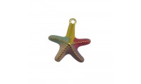 Colgante estrella de mar...