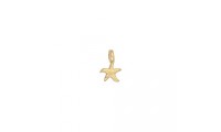 Mini colgante estrella de...