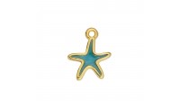 Colgante estrella de mar...