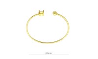 Pulsera baño oro garra y...