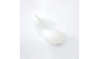 Pluma 8x3cm. Blanco
