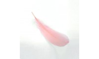 Pluma 8x3cm. Rosa Vintage