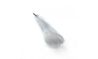 Pluma 8x3cm. Gris