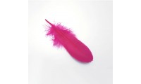 Pluma 8x3cm. Fuchsia