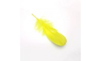 Pluma 8x3cm. Amarillo