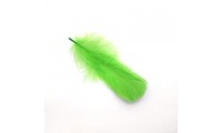 Pluma 8x3cm. Verde Loro