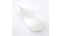 Pluma 15x4,5cm. Blanco