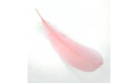 Pluma 15x4,5cm. Rosa Vintage