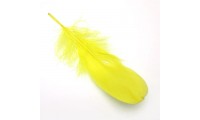 Pluma 15x4,5cm. Amarillo