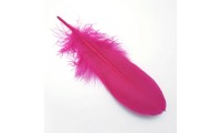 Pluma 15x4,5cm. Fuchsia