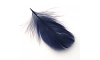 Pluma 15x4,5cm. Azul Klein