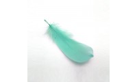 Pluma 8x3cm. Verde Turquesa