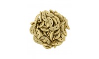 Crescent 10mm Aztec Gold