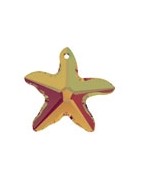 Estrella de mar