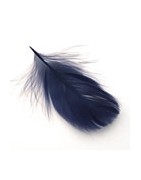 Plumas